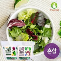 데이밀 자연을담은 샐러드 실속 혼합구성 100g 국내산 야채믹스, 10팩, 흑임자드레싱 10개