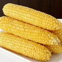[미식한가] 제철의맛 그대로 냉동 초당옥수수 특품 (17-20cm), 냉동 초당옥수수 1팩(2개입)