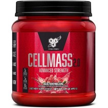 BSN 셀매스 2.0 워터메론 CELLMASS 2.0 Watermelon 495g
