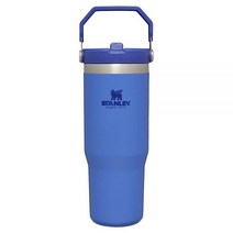 Stanley 아이스플로 스테인리스 스틸 빨대 텀블러 크림, 30oz, Iris