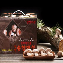 알뜰 식당용 송향버섯 오전11시까지 주문건은 (명절.공휴일.토.일요일 제외), 선물용특품1kg
