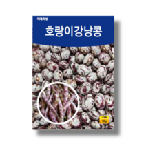 다수확 웰빙호랑이강낭콩 30g / 강낭콩종자 미래종묘