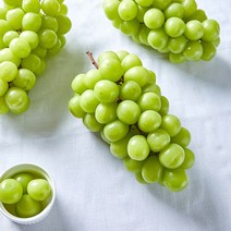 미자가게 고당도 청도반시 5kg 청도감 연시, 청도반시 5kg(46-50과), 1개