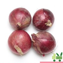 사라상회 적양파 (1등) 10kg, 1개