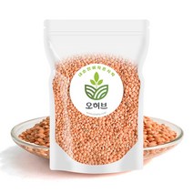 렌틸콩 렌즈콩 레드 렌틸콩밥 1kg, 1개
