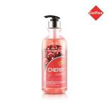 푸드어홀릭 바디클렌져 750ml / 체리