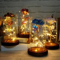 엔템 led 드라이플라워 프리저브드 유리돔 꽃 무드등 대형 미니유리돔 만들기 와이어전구 건전지 특이한무드등, 해바라기(옐로우)