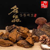 상황버섯 30년산 1kg 자연산 절편발송 효도선물 고급포장, 1개