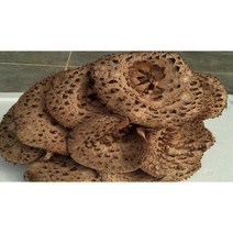 자연산 능이버섯1등품 1KG, 2kg