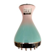 고주파온열치료기 전신 물리 치료기 마사지기 초음파 리프팅 가정용, 표준색