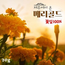 마리골드 꽃차 국산 메리골드 마리골드차 눈건강 루테인 지아잔틴 성분 금잔화 꽃잎 차 티 효능 추천 제주도, 메리골드 꽃차 국산(금잔화), 70g