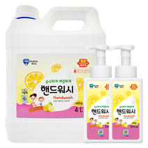 버블윅 핸드워시 레몬향 4L+500ml공병2개 거품형 손세정제