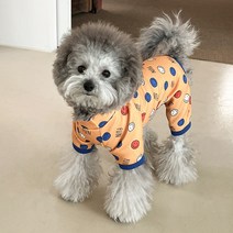 우드피카 반려동물 스마일 올인원, 옐로우