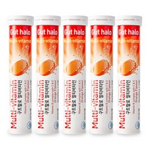 [독일 직수입 발포비타민] 구트할로 멀티비타민(20정) 오렌지맛 5통, 5개, 4000mg