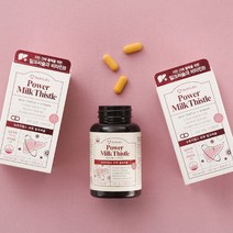 뉴트리랩스 간건강 파워 밀크씨슬 1 350mg 120정 (4개월분), 단품, 단품