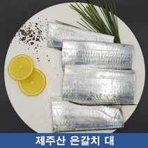제주한림수협 추천 TOP 20