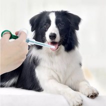 그린 반려동물 약먹이기 간식 고양이 필건 투약기 주사 애견, 단품, 단품