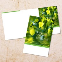 교회 절기 주보 추수감사절 주보용지 3단 6면 주보지 52주 디자인 순서지 안내지 교회용품 기독교용품 주일학교 청년부 전도용품 새교우, EW-35