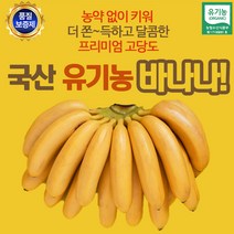 유기농 국산바나나 1.5kg