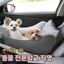 리토가토 스마트 강아지 카시트 (4 color / 커버분리형) 반려동물 학교, 블루 (안전고리1개 set)