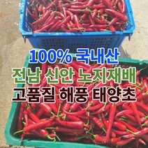 전남 신안 고추 건고추 햇고추 태양초고추 마른고추 5근 10근 3kg 6kg, 반태양초(기계+태양)x6kg