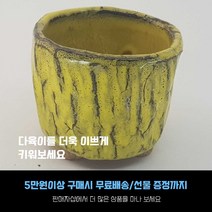 다육 다육화분 - 작은킬러 화분 4개세트, 1번-노랑색