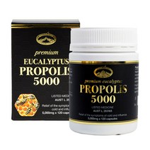 네이쳐스탑 프로폴리스 5000mg 120정 1개+ 사은품+무료배송, 1개