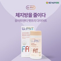 체지방 제지방 감소 다이어트 영양제 콜레우스 포스콜리 추출물 나이아신 배 뱃살 나오신 여성 분 낮은 기초대사량 증가 보조 건강 기능 식품, 1BOX(1개월분)