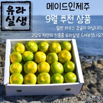 (예약중) 23년 고당도 저산미 하우스 유라실생 3kg 5kg, 1개, 선물용 3kg