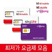 학생요금제 KT알뜰폰요금제 알뜰폰 유심교체 LTE 무약정, KT알뜰폰유심