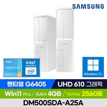 [12세대 신모델 출고!] 삼성전자 데스크탑 DM500SDA-A25A 슬림PC 사무용 인강용 가성비 데탑 (Intel 펜티엄/UHD 그래픽/윈도우11 Pro), 256GB, 4GB, 윈도우11 포함