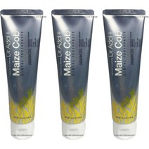 1+1+1 닥터아돌 메이즈콥치약 가족치약 잇몸치약 청소년 샘플증정 100g