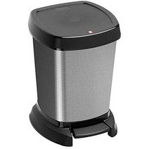 Rotho 1165080273 Pedal Bin Paso 용량 6리터 금속성 외관 플라스틱으로 제작 알루미늄 케이스 포함, 단색, 탄소