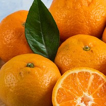 영화농산 영화청과 특급 제주도귤 1.5kg 청 만들기 하우스 노지, 파란색, 상세 페이지 별도표기