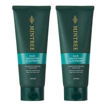 민트리 헤어 밸런싱 스칼프먼트 탈모 트리트먼트, 2개, 200ml