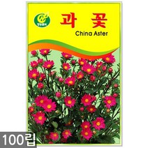 강낭콩 2g - 콩 씨 씨앗 강낭콩씨앗 강남콩씨앗 강낭콩씨, 03_청농_과꽃(100립)