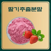 딸기추출분말 50g 샘플, 단품, 단품