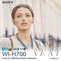 소니 WI-H700 블루투스 이어폰 무선 이어셋 헤드폰, [WI-H700/GM E][호라이즌그린]