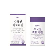 HWC 수국잎 락토페린 정 열수추출공법 피쉬콜라겐 비오틴 푸룬, 3박스, 60정
