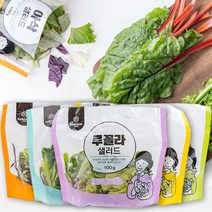 친환경 샐러드 야채 다이어트 샐러드 식단 관리 100gX5팩(5종 중 1세트), 100g, 5팩, 휴엔팜 국내산 루꼴라 샐러드