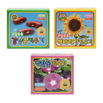 관찰쑥쑥새싹키우기 강낭콩 나팔꽃 해바라기 탐구학습