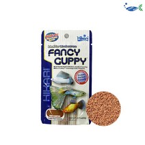 히카리 팬시 구피 22g 사료, 1개