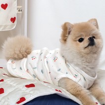 해피앤퍼피 강아지옷 오가닉 실내복 조끼 잠옷 내복 노령견옷 커플룩 애견옷 봄 여름 가을 겨울 XS-3XL, 체리썸양면조끼