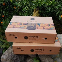 제주명품 천혜향 3kg(9~13 대과 선물용) 2박스 그윽한 향과 팡팡 터지는 과즙 품격있는 설과일선물세트