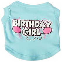 Mirage Pet Products 10-Inch Birthday Girl Screen Print Shirts Small Aqua, 1