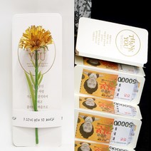 영하우스 용돈봉투 부모님 생일 용돈이벤트 프리미엄 용돈 선물 병풍 돈봉투, 프리미엄용돈봉투+2개