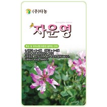 금계국 200립 - 야생화 씨앗 꽃씨 씨 꽃씨앗 금계국씨앗 금계국씨 다년생꽃씨 여러해살이 야생화씨 야생화씨앗, 33_다농_자운영(2g)