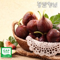 해남 고당도 무화과 (8팩) 생과, 단품