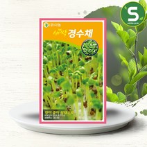솔림텃밭몰 새싹경수채씨앗 30g 새싹경수채 새싹채소씨앗, 단품