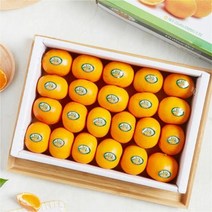 당도보장 청정제주 불로초 감귤 선물용 3kg 로얄과